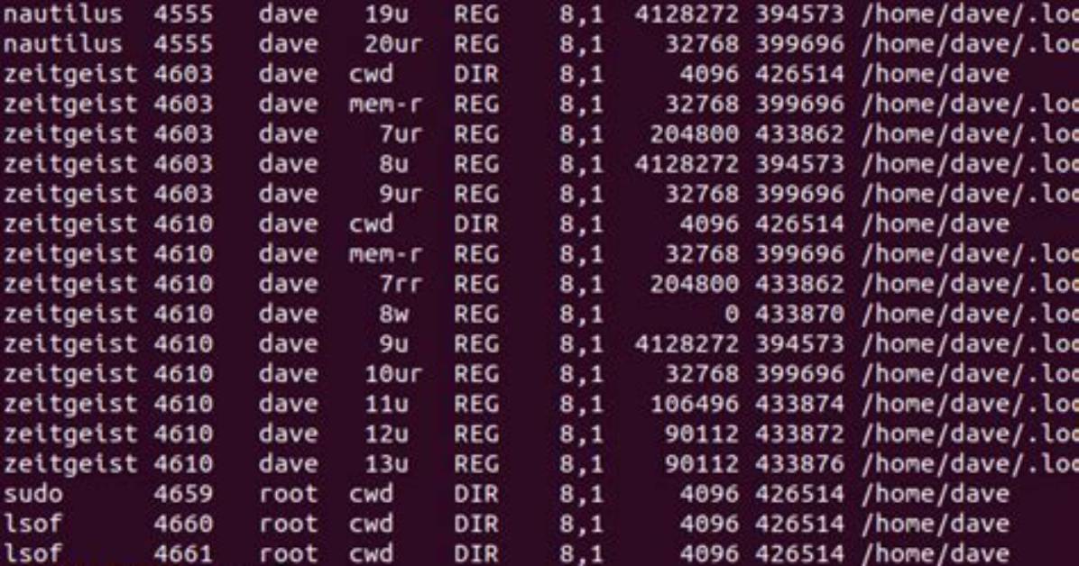 How Use Lsof Command in Linux?