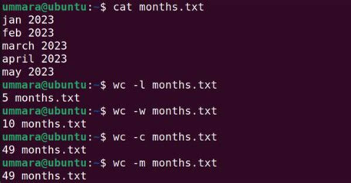 How Use Wc in Linux?
