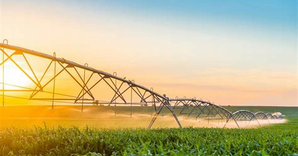 How Using Groundwater Sustainably Would Affect Key Crops