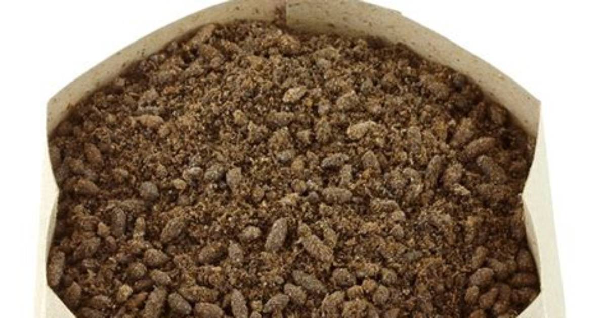 How Valuable Is Bat Guano