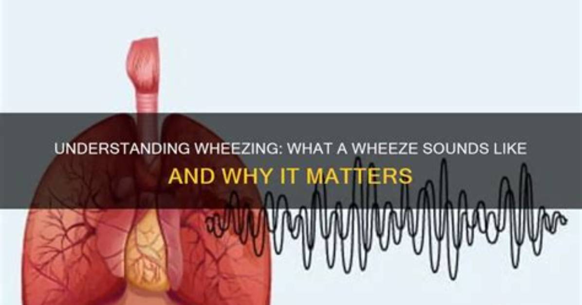 How Wheeze Is Produced?