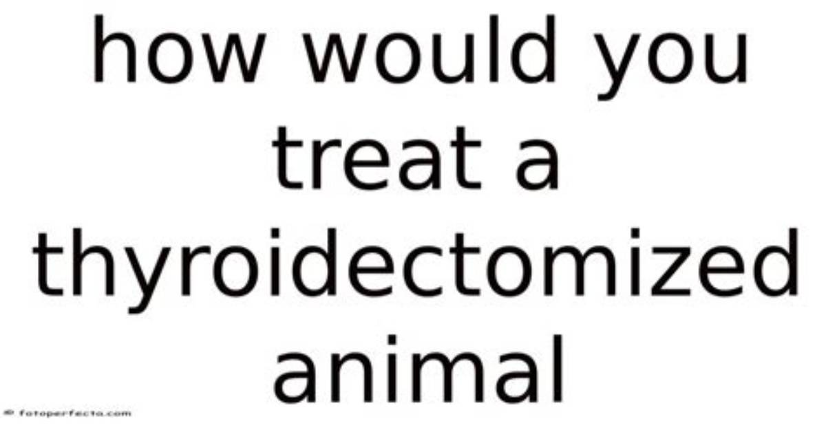 How Would You Treat a Thyroidectomized Animal So That It Functions Normally