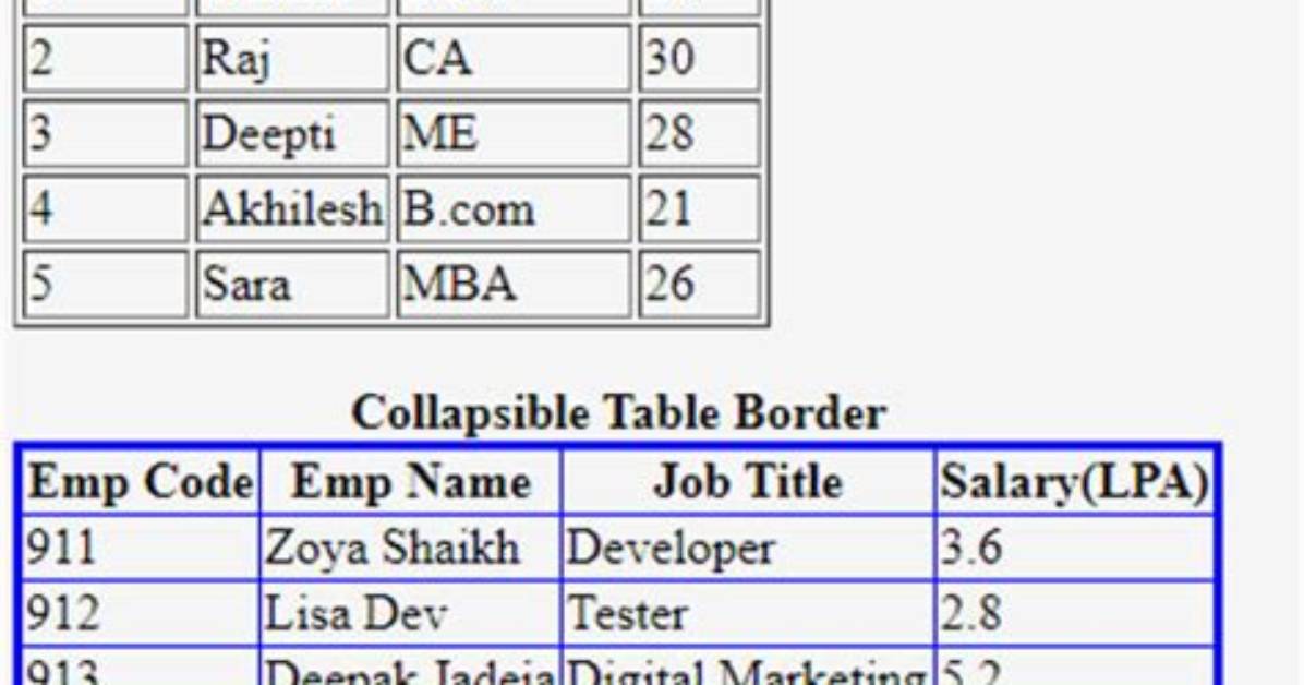 Html Border Only Outside the Table