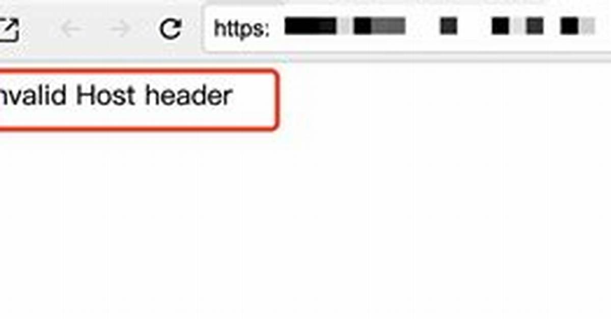 I Am Getting an "Invalid Host Header" Message When Connecting to Webpack-Dev-Server Remotely