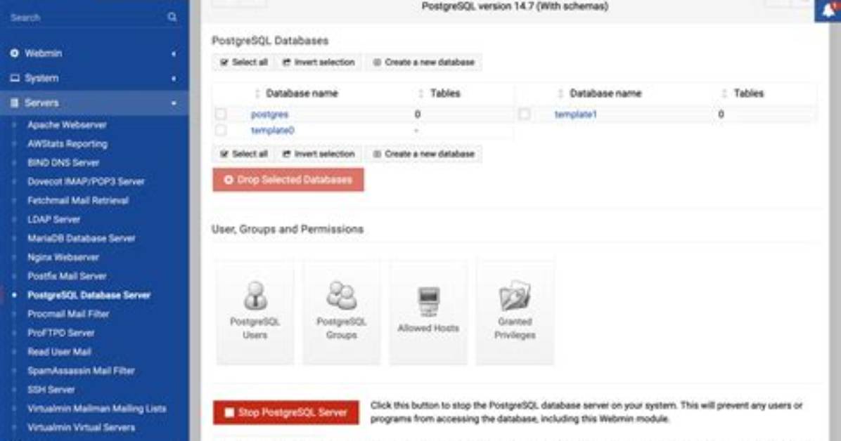 I Can't Start Server Postgresql 11: "Pg_Ctl: Could Not Start Server"