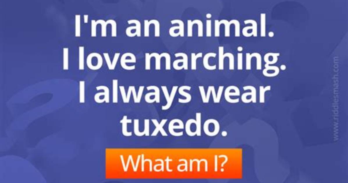 I’m an Animal. I Love Marching. I Always Wear Tuxedo. What Am I? -Word Riddles Level 26