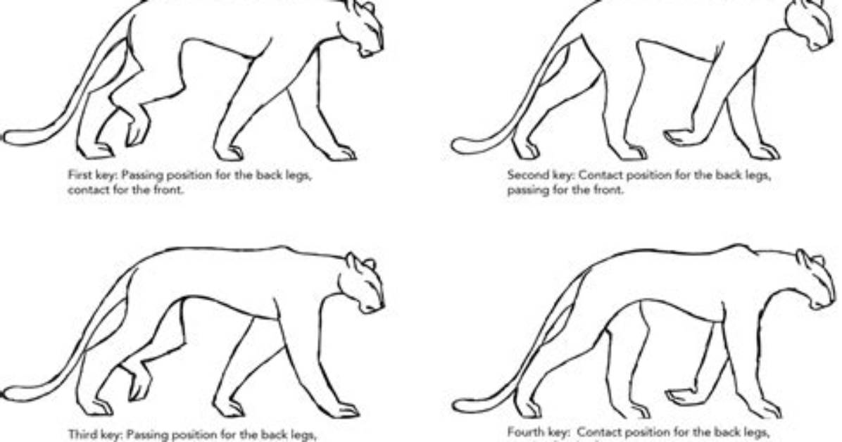 I Walk on 4 Legs in the Morning, 2 Legs at Noon, and 3 Legs at Night. What Am I? [Riddle Answers]