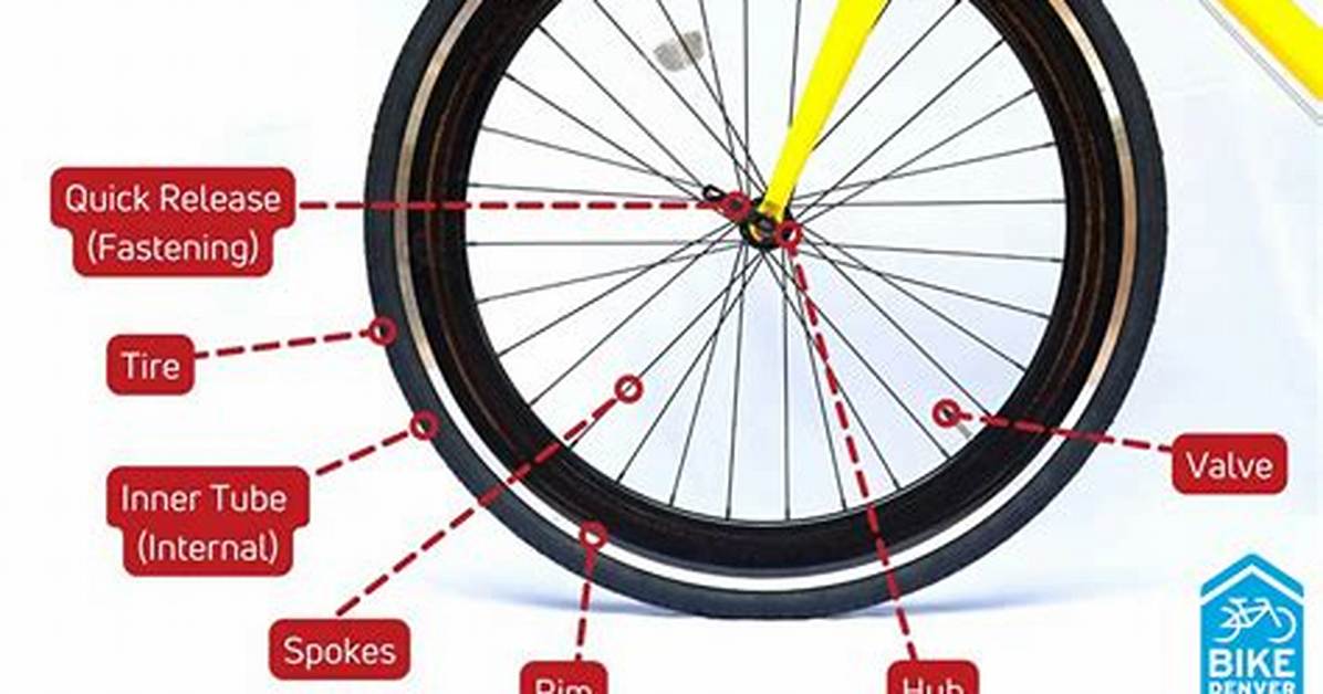 If a Cycle Has Front Wheel of Perimeter 65 and Back Wheel of 52. If Front Wheel Revolves 456 Times. How Many Revolutions Will the Back Wheel Take?