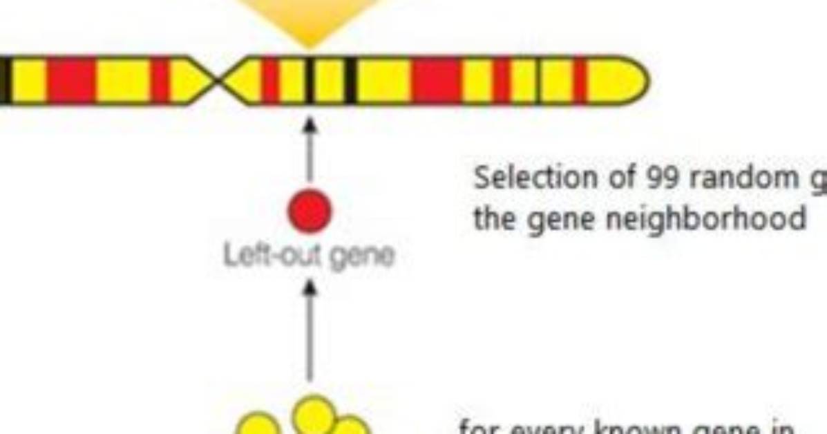In a Candidate Gene?