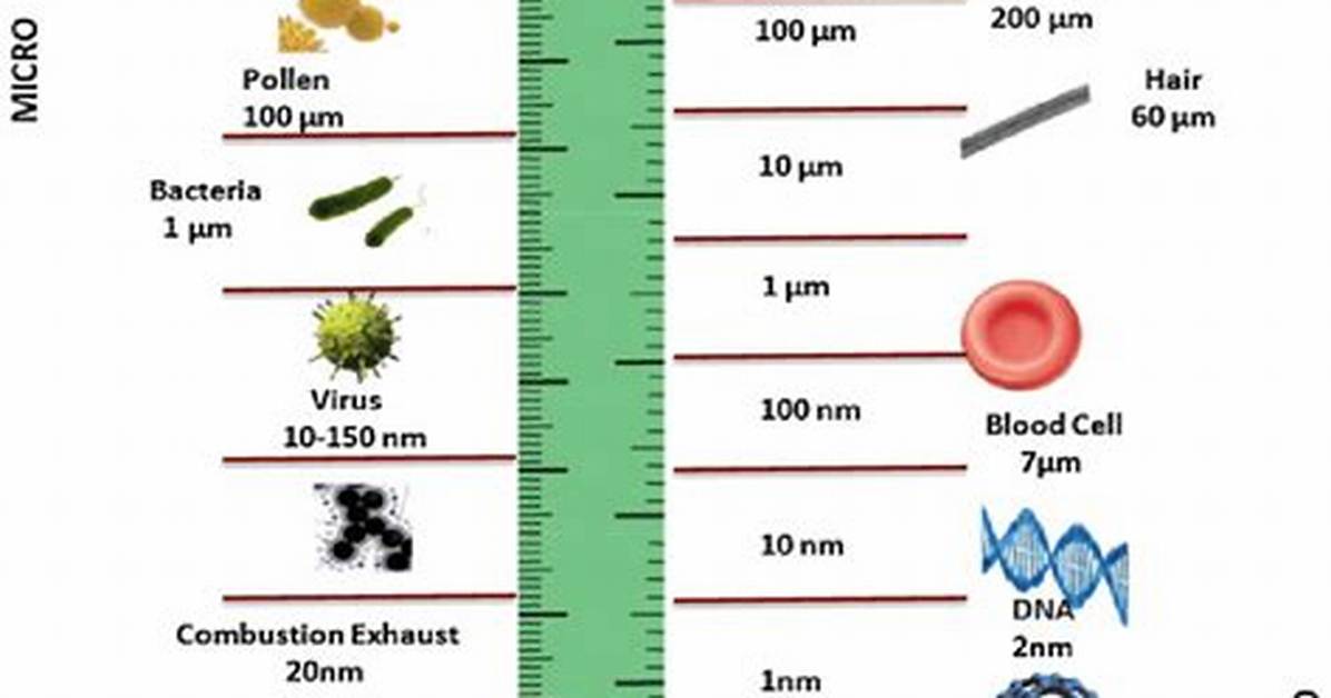 In a Nanometer Scale?
