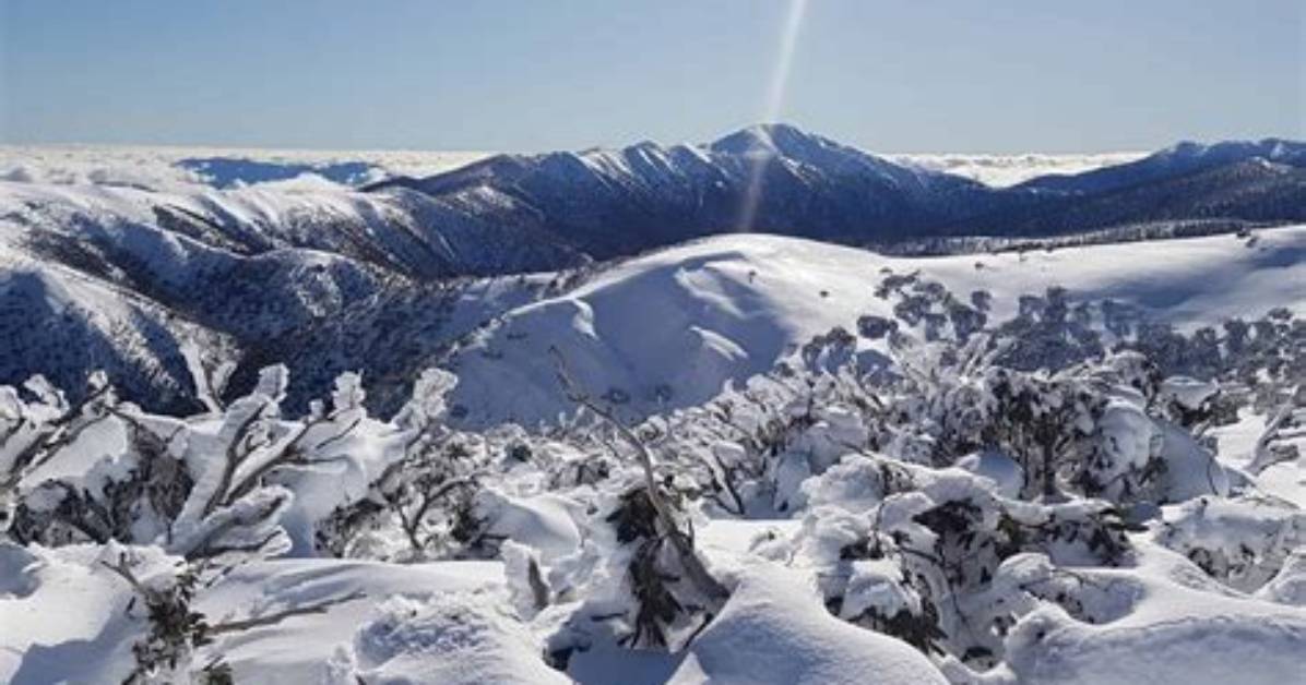 In Australia Does It Snow?