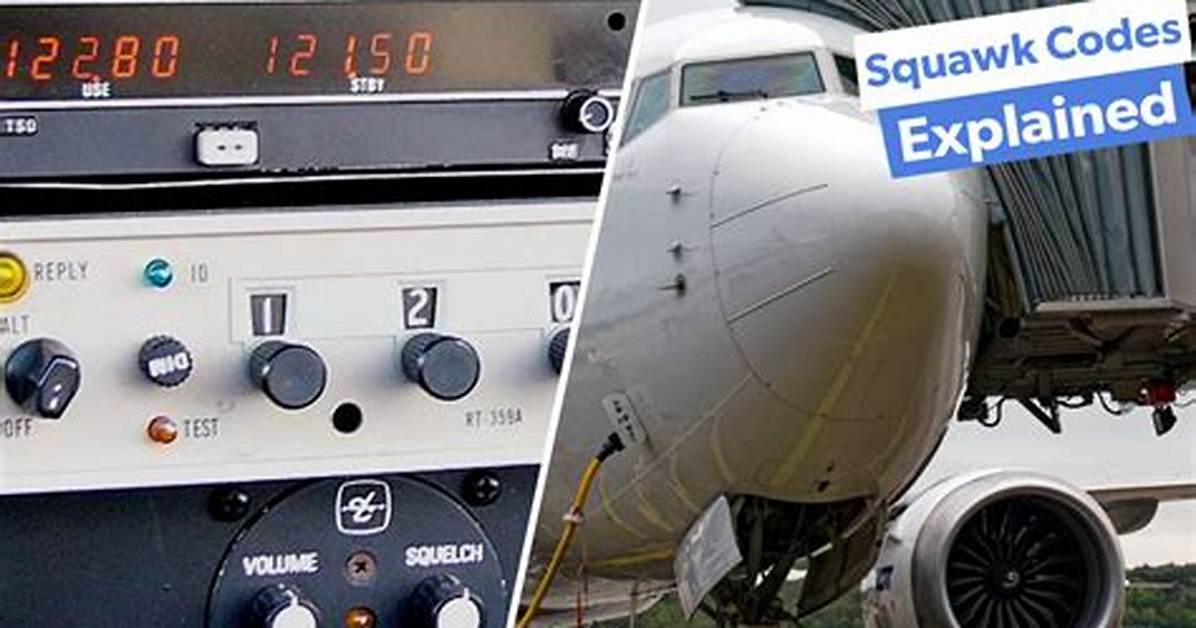 In Aviation What Does Squawk Mean?