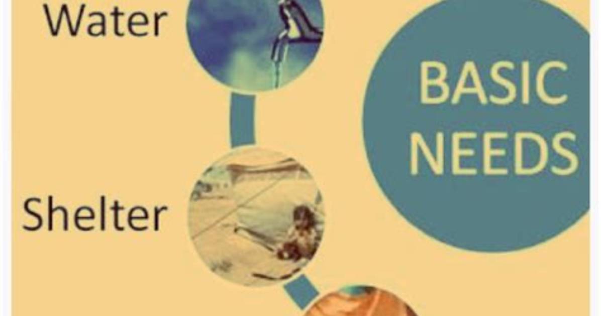 In Basic Necessities of Life?