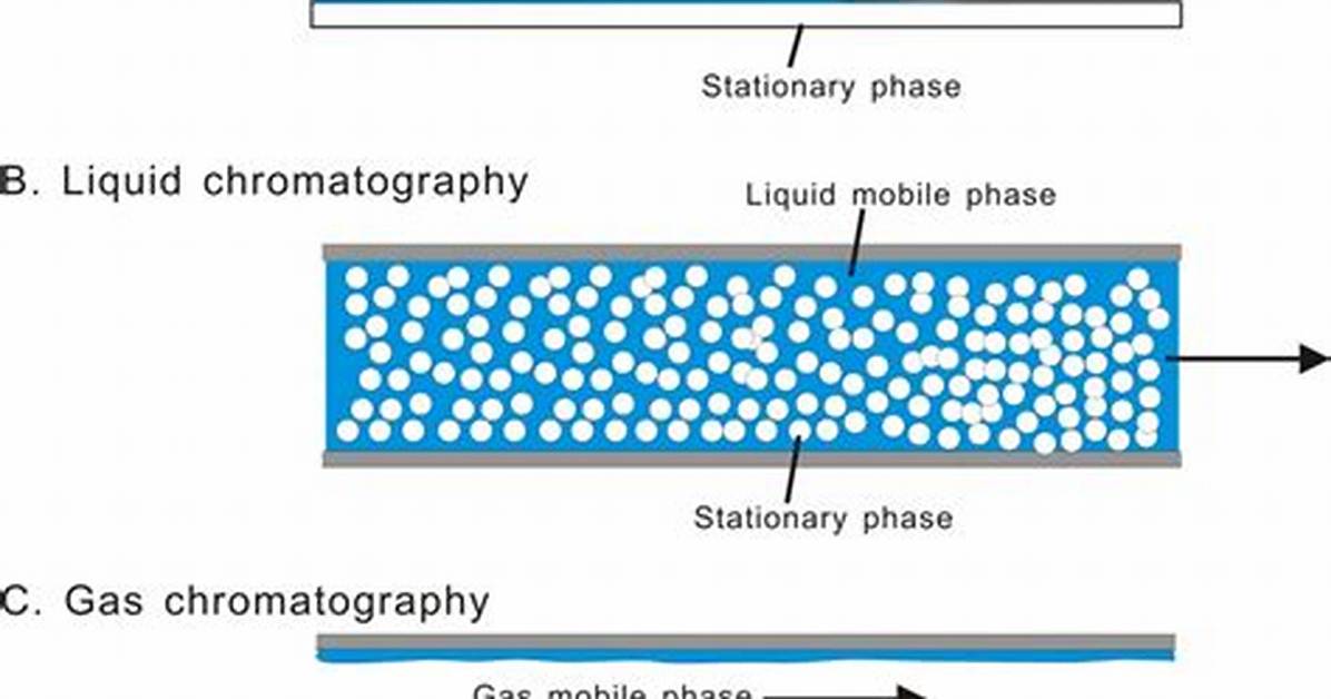 In Chromatography Mobile Phase Is?