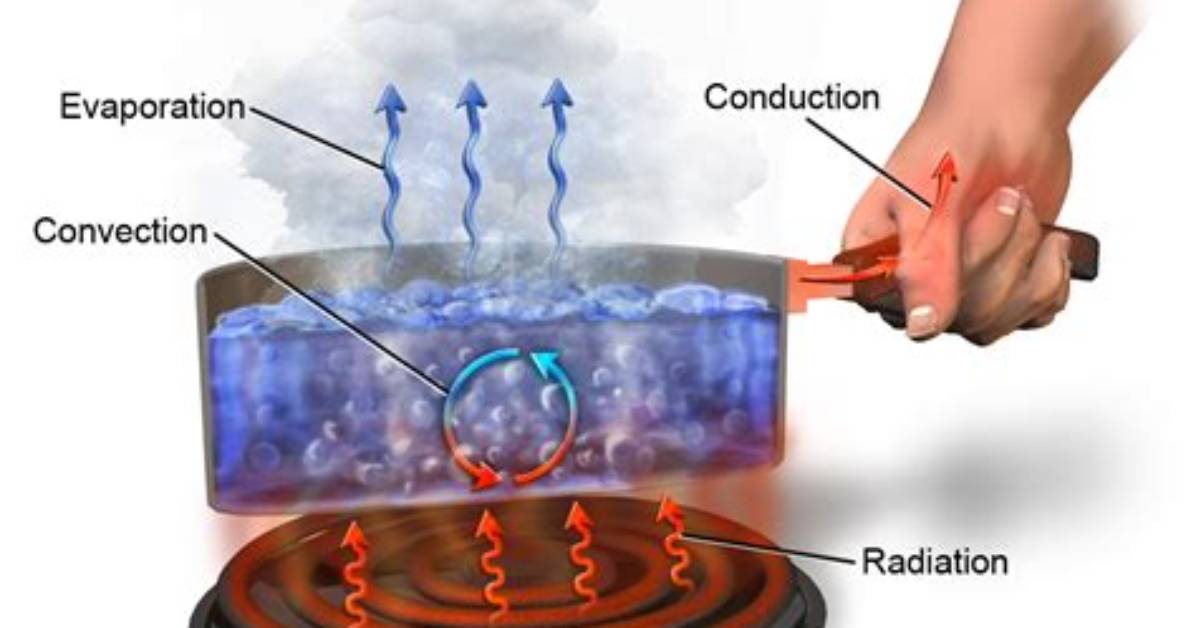 In Conduction Heat Flows from?