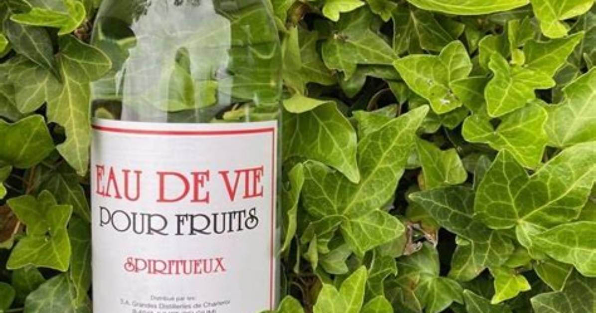 In Eau De Vie?