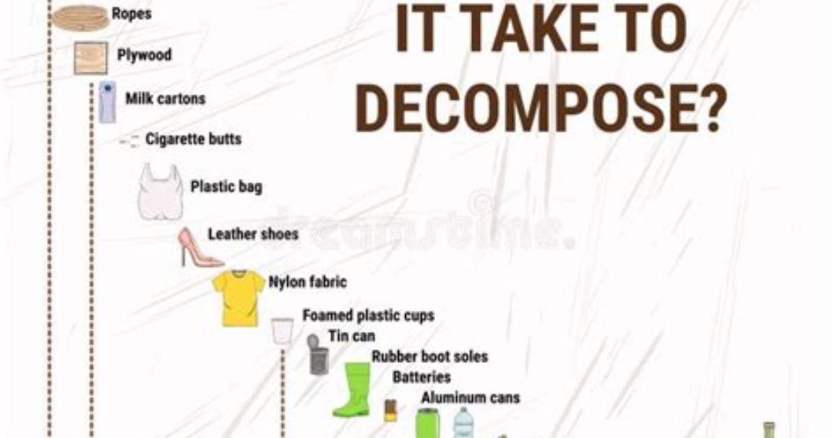 In How Much Time Bones Decompose?