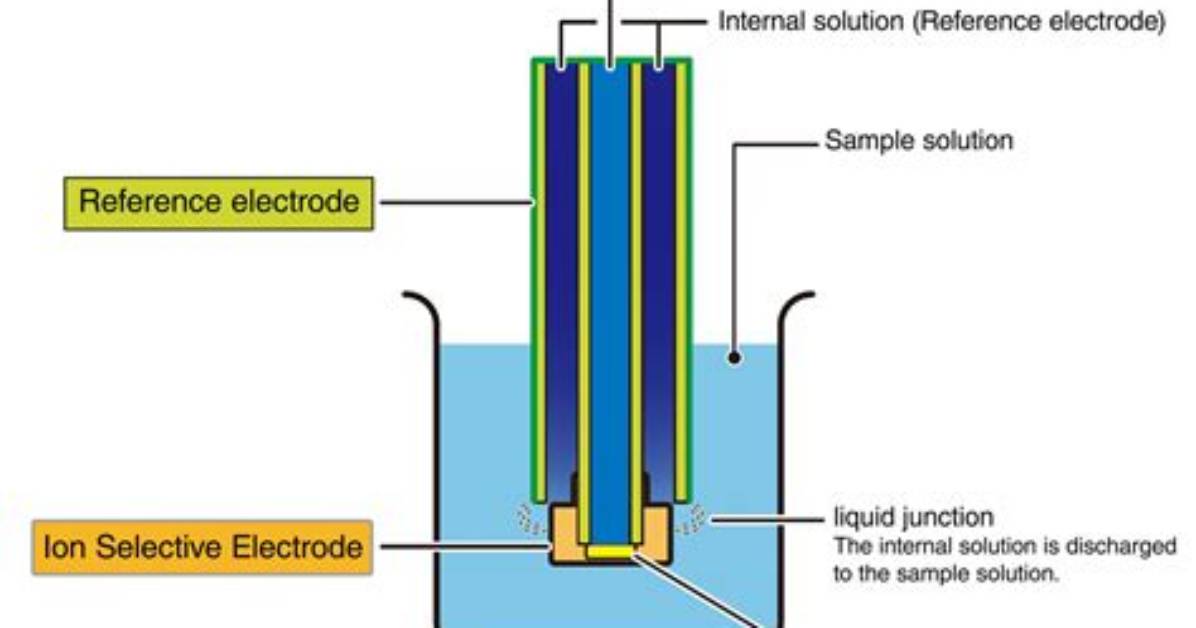 In Ion Selective Electrode?