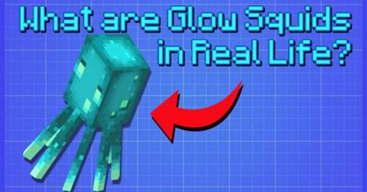 In Minecraft What Do Squids Eat?
