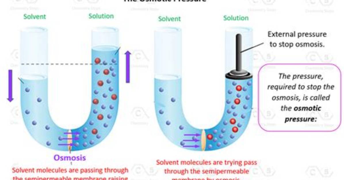 In Osmotic Pressure Method?
