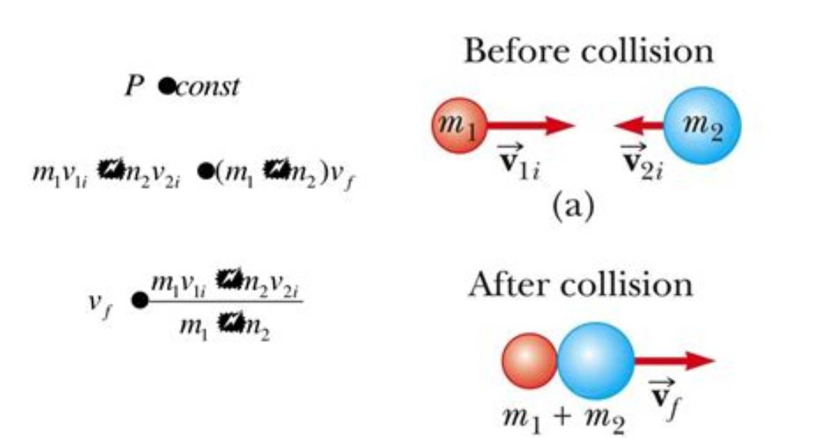 In Perfectly Inelastic Collision?