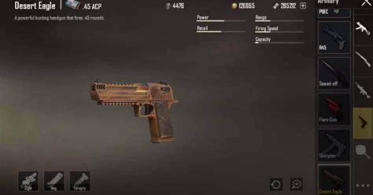 In Pubg Desert Eagle?