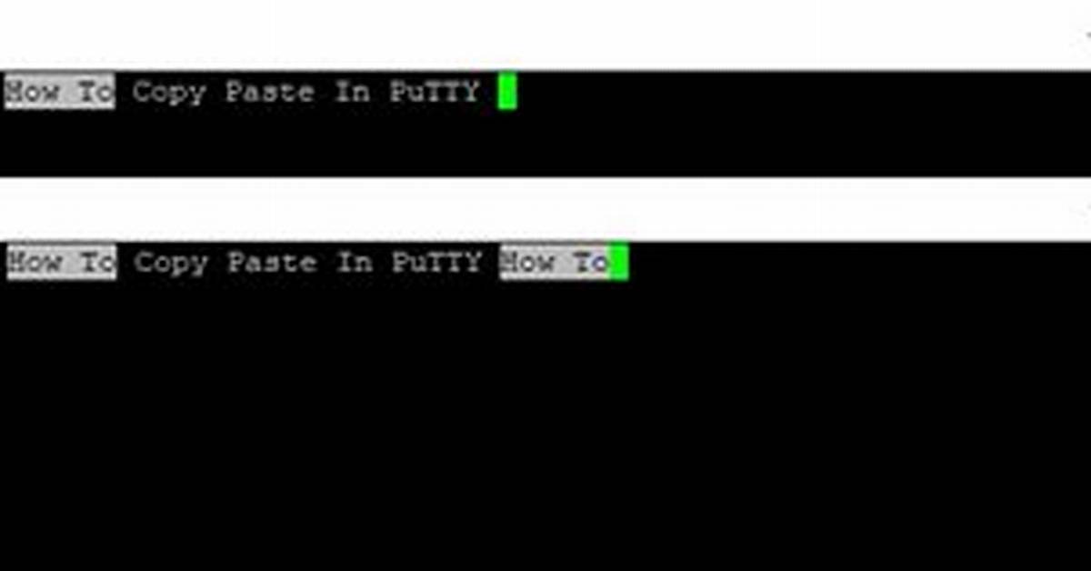 In Putty Copy Paste?