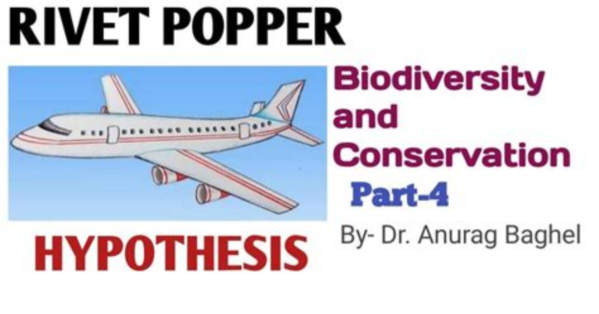 In Rivet Popper Hypothesis Rivet Indicates?