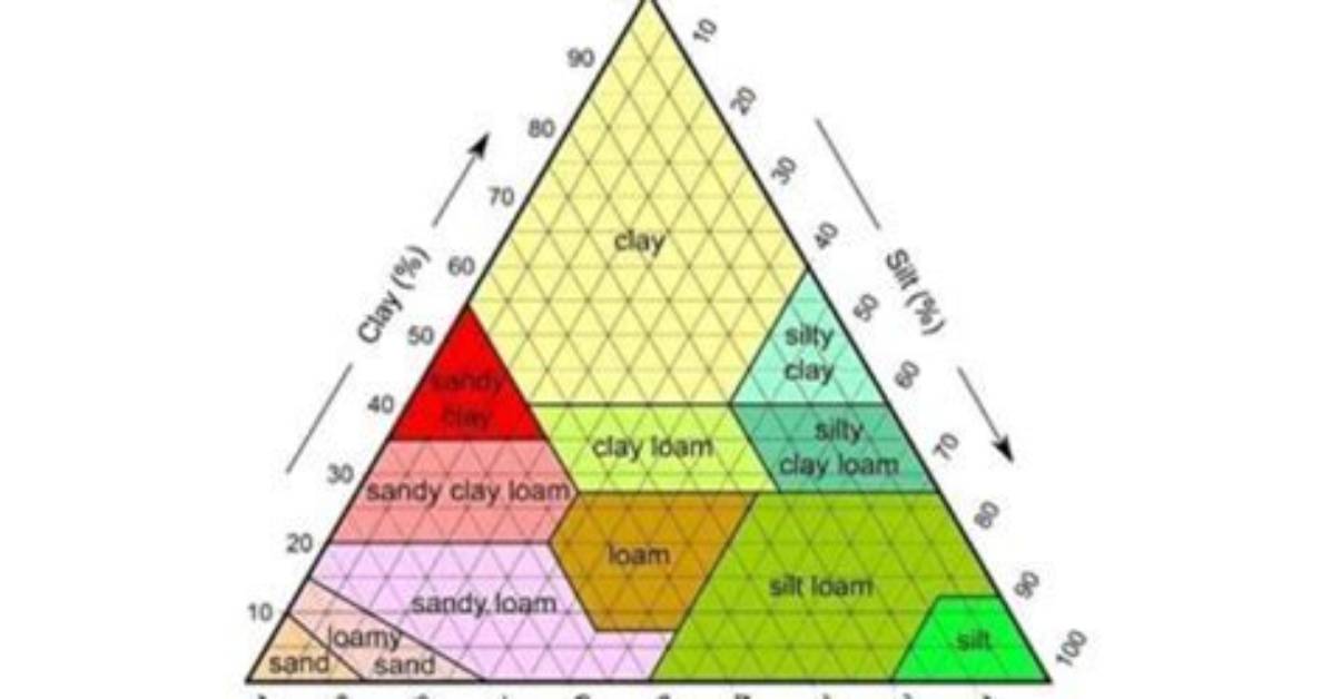 In Textural Classification System Is Considered?