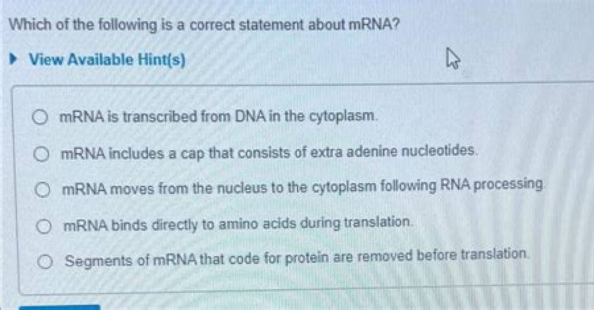 In the Cytoplasm Mrna Delivers the Code to the?