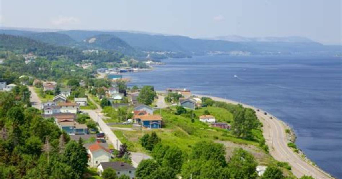 In This Corner Brook?