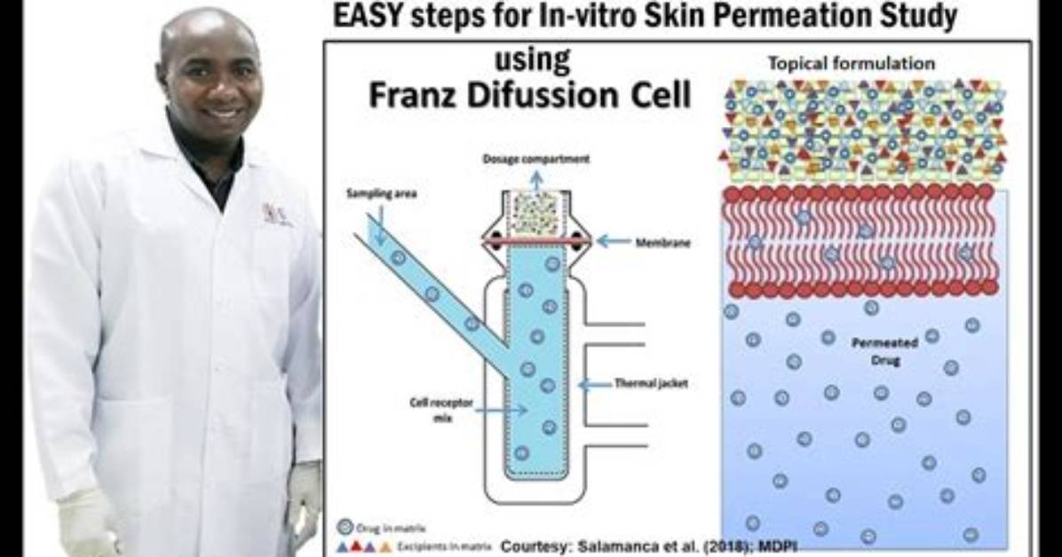 In Vitro Permeation Study?