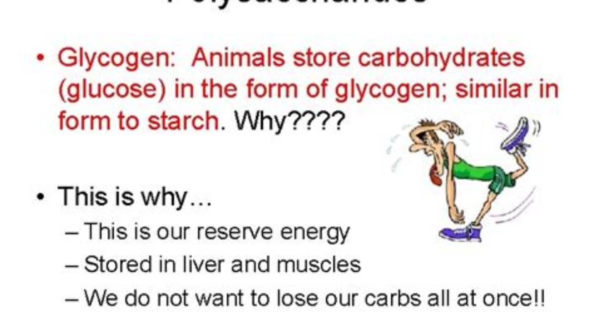 In What Form Do Animals Store Glucose