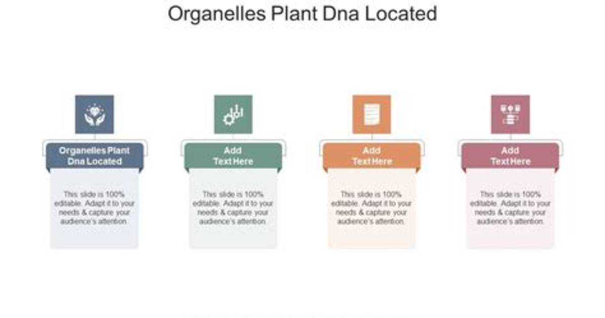 In What Organelles Is Plant Dna Located