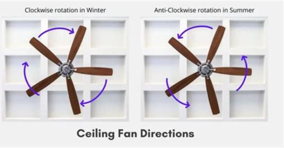 In Which Direction Fan Rotates?