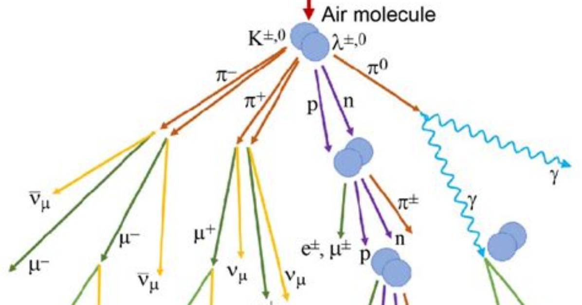 In Which Rays Mesons Are Found?