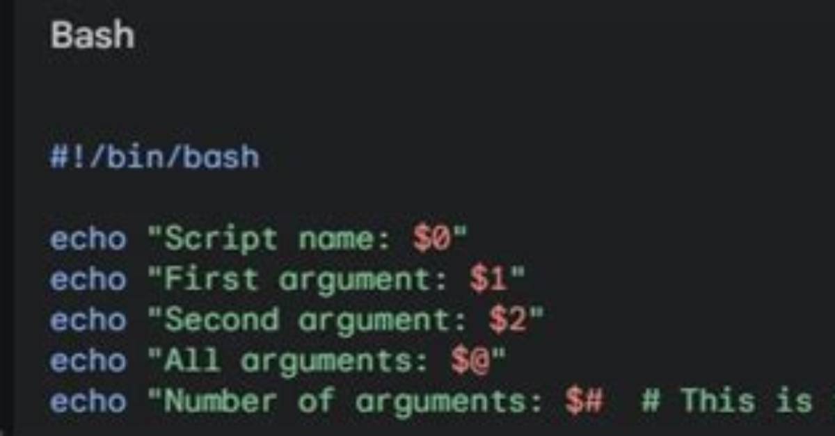 Include Bash Script Arguments When Submitting via Bsub