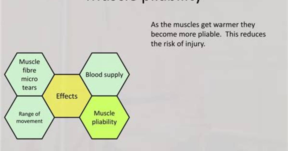 Increase in Muscle Pliability?