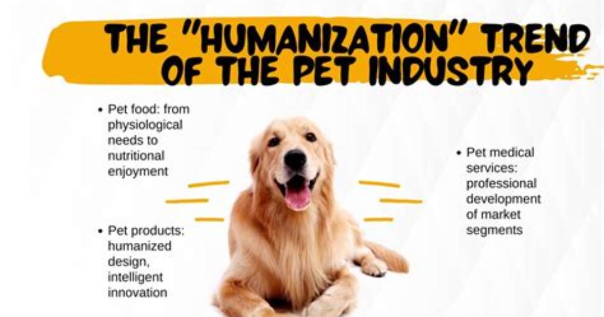 Increase in Pet Humanization?