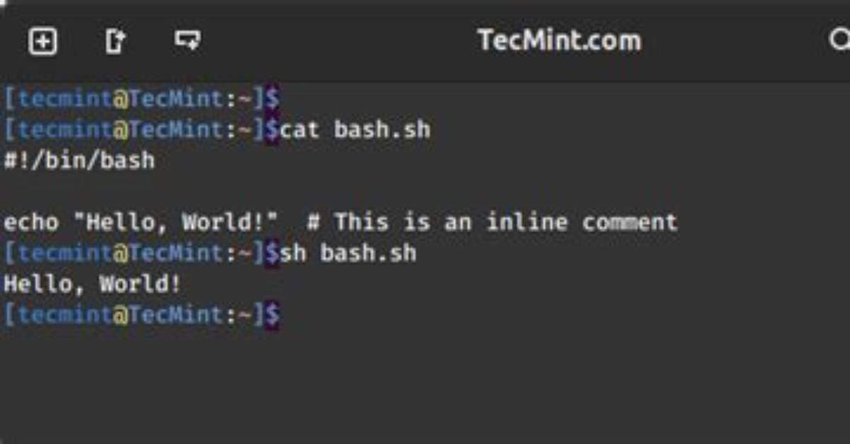 Inline Comments for Bash?