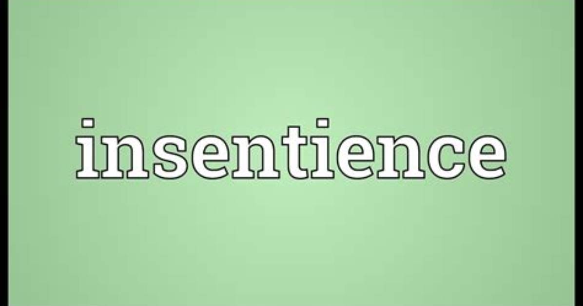 Insentience Meaning in Dictionary?