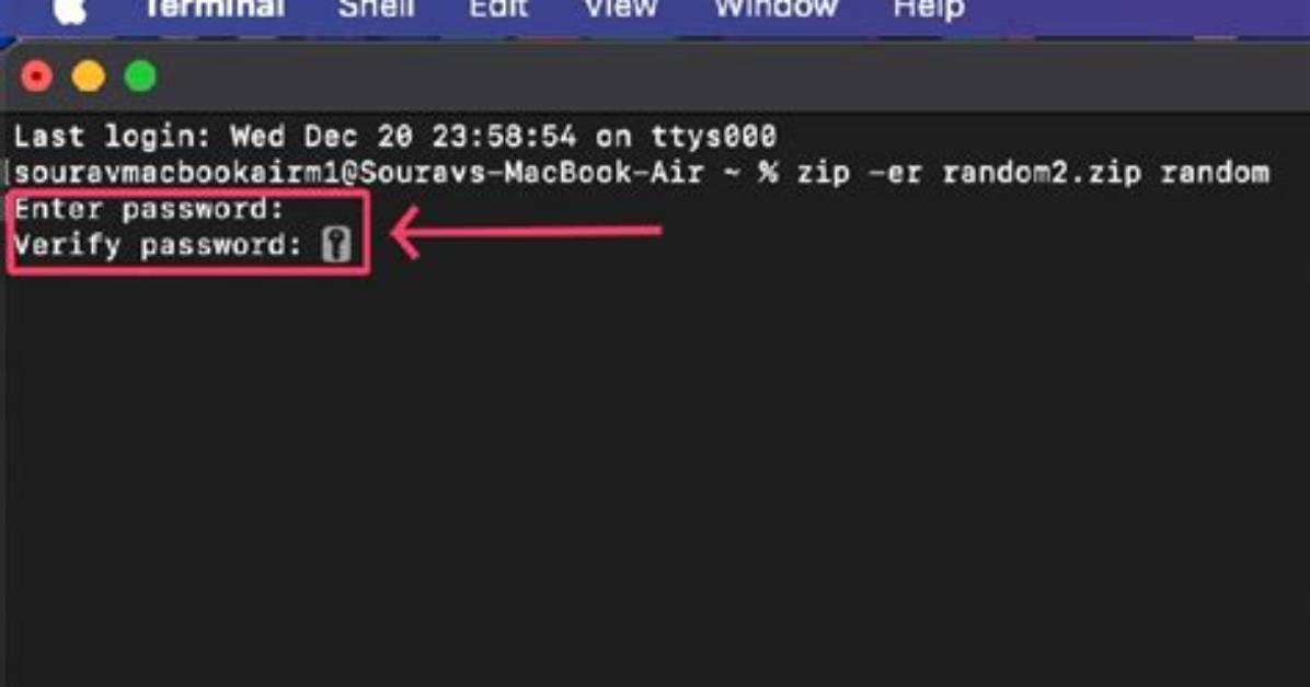 Insert a Password into the Terminal Through a Script?