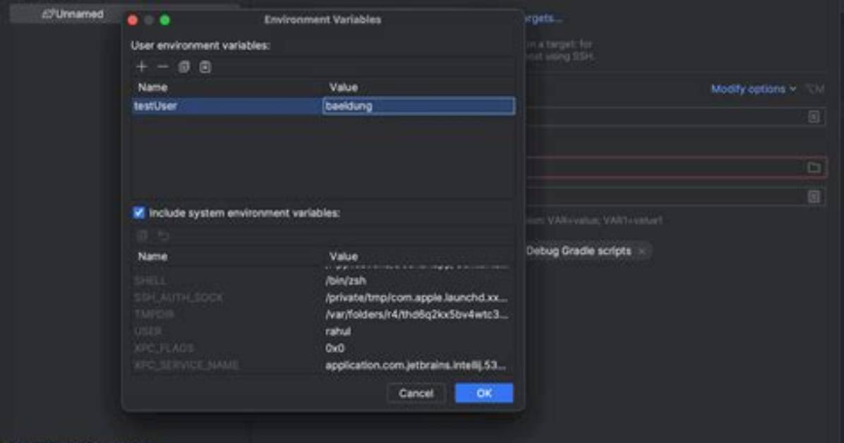 Intellij Not Picking up Environment Variables When Using Zsh?