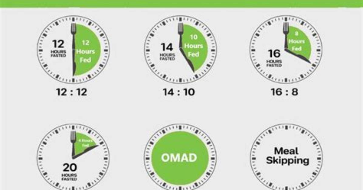 Intermittent Fasting Calculator