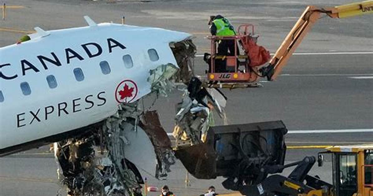 Investigators Say Pilot Errors Caused a Deadly Plane Crash in Truckee That Killed 6 | News