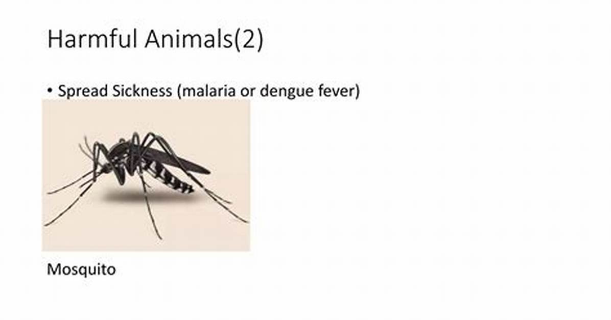 Is 24D Harmful to Animals