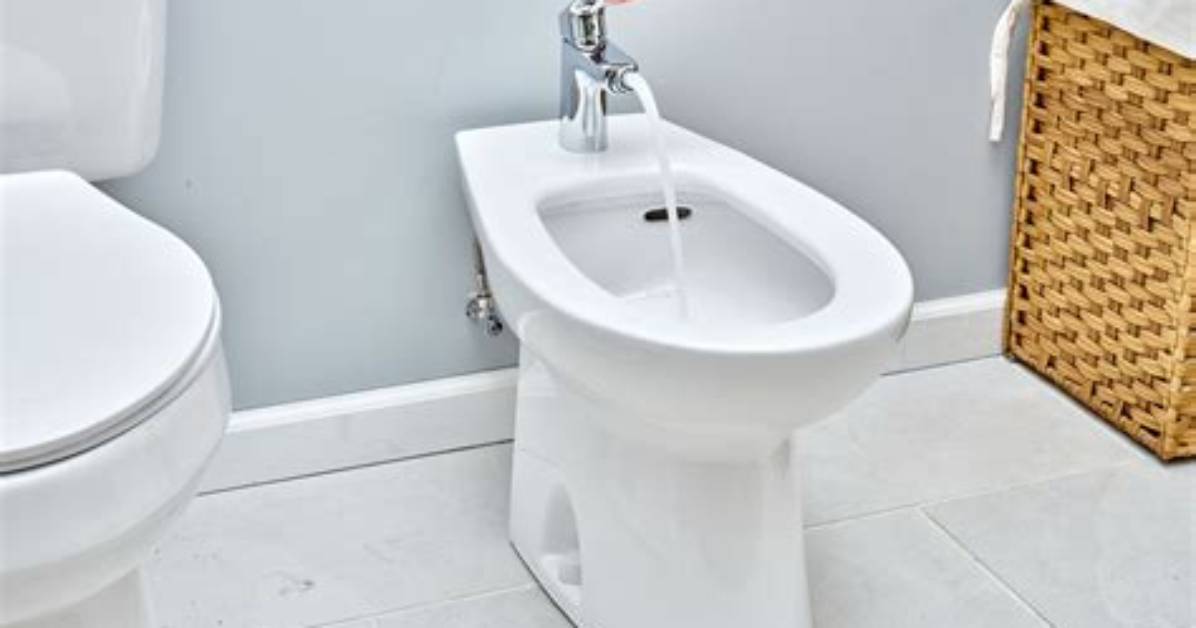 Is a Bidet Pleasurable?