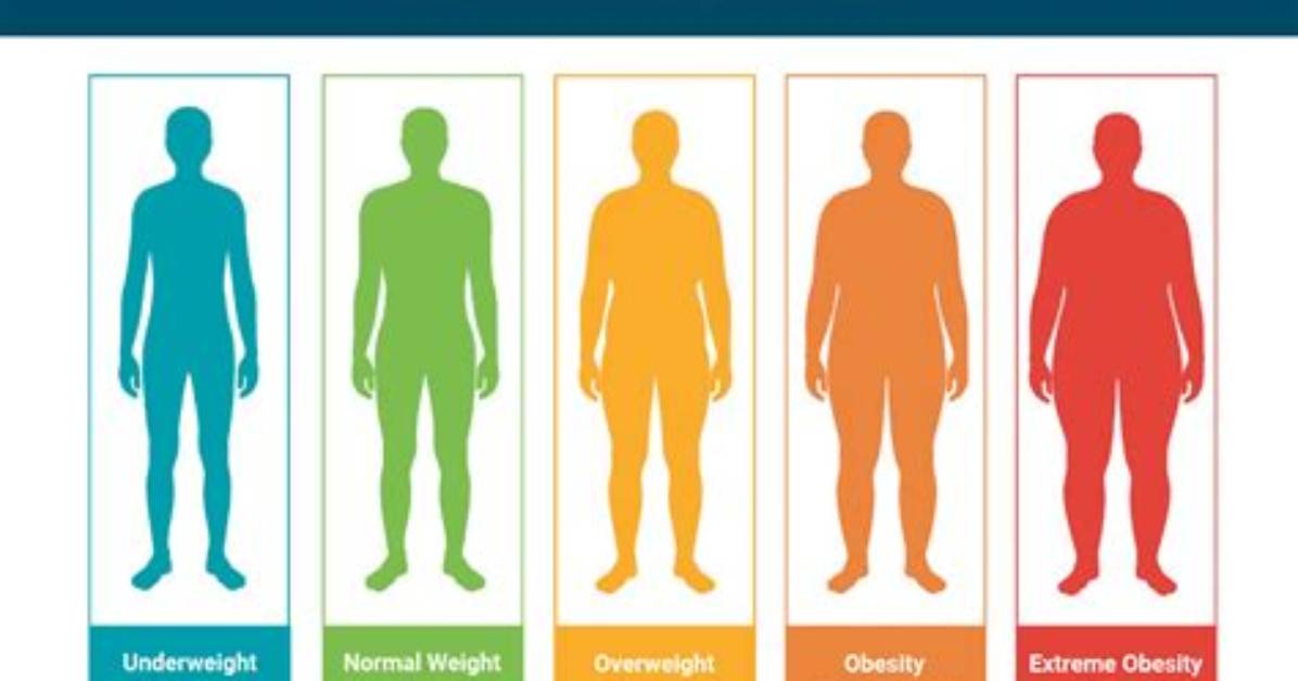 Is a Bmi 22.8 Bad