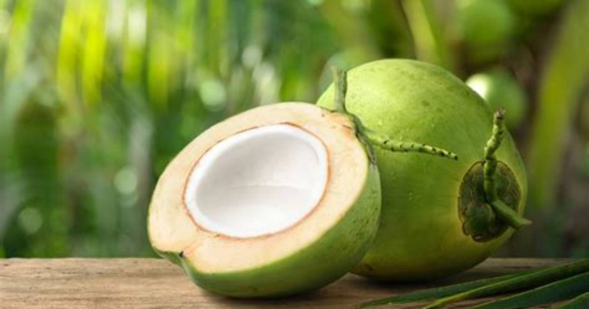 Is a Coconut a Fruit