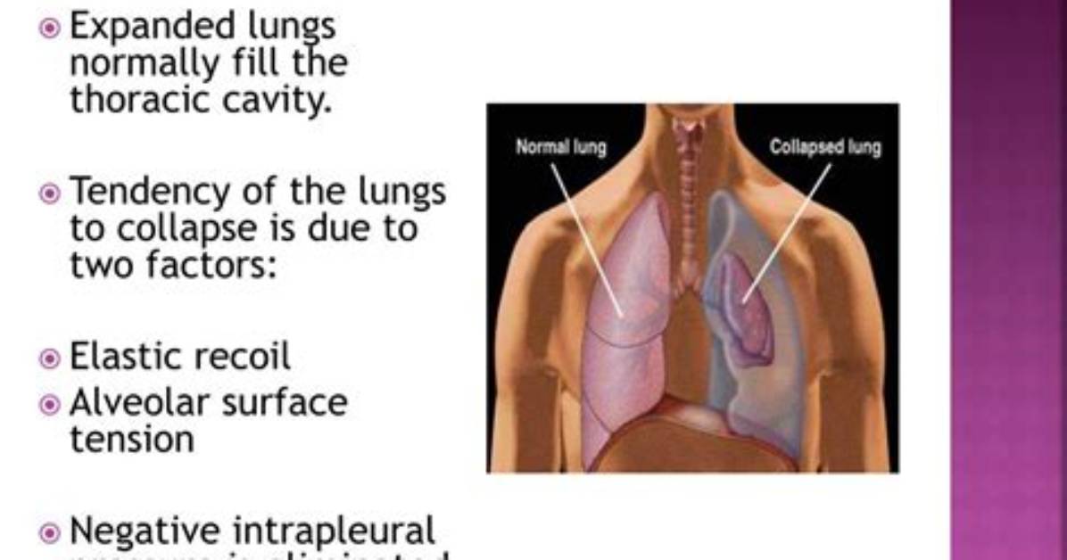Is a Collapsed Lung Functional?